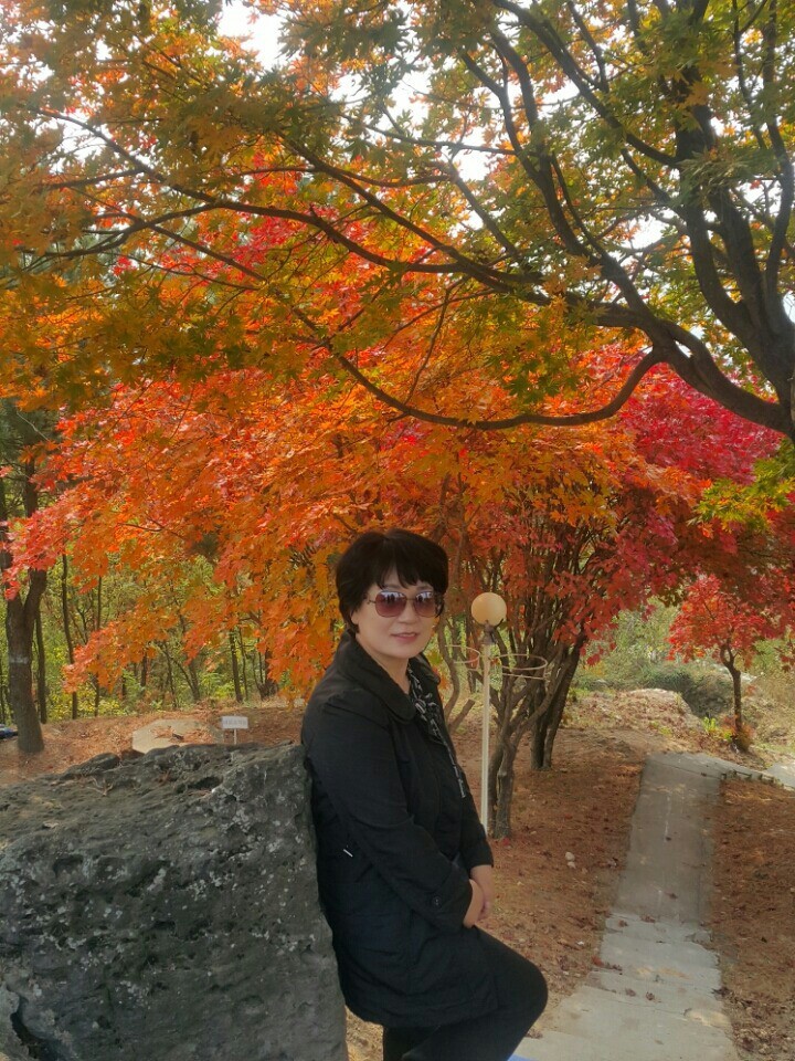 수연 이미지