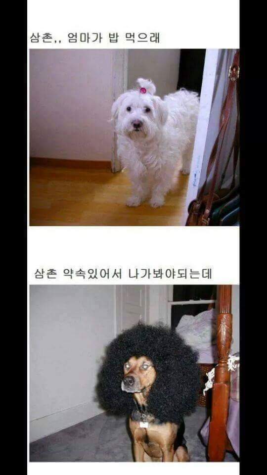 밥은 먹고 다니냐 | 인스티즈