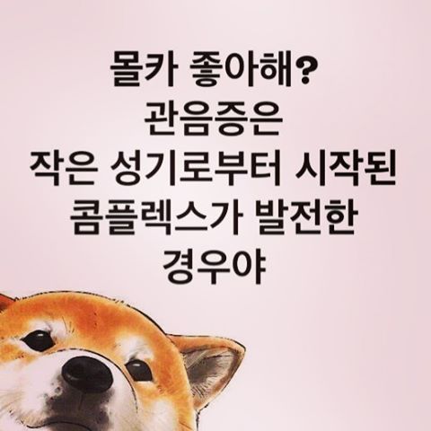 인스타그램의 계정ㅋㅋㅋㅋㅋ | 인스티즈