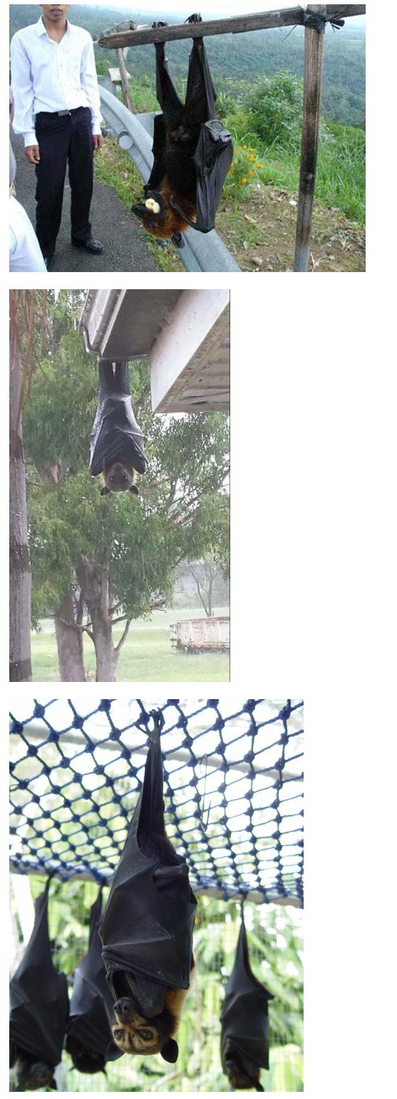 밤에 얘랑 마주친다면? | 인스티즈