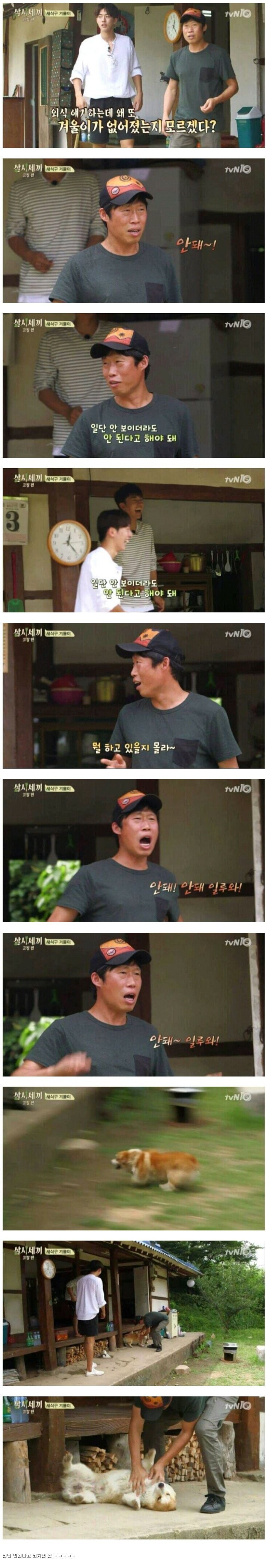 멍멍이 관리하는 법...JPG | 인스티즈