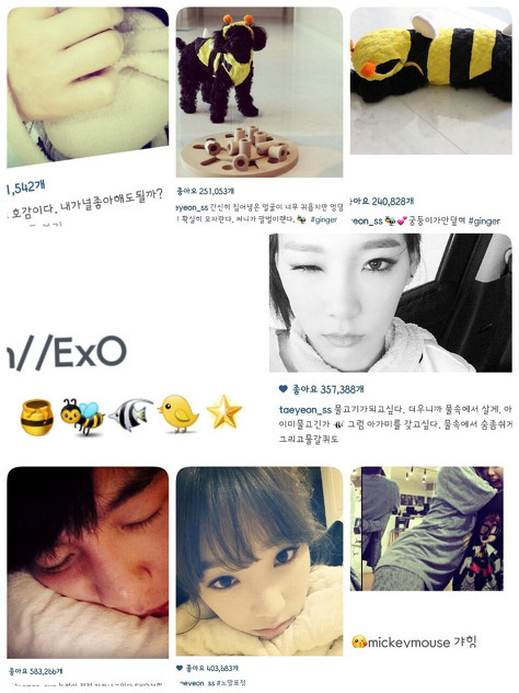 인터넷을 달궜던 사진들.jpg | 인스티즈