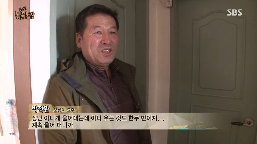 [동물농장] 존트 할말 다 하고 사는 수다쟁이 고양이 쪼롱이ㅋㅋㅋㅋ.jpg | 인스티즈