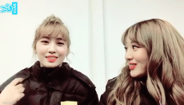 오늘자 트와이스 V앱 움짤모음 | 인스티즈