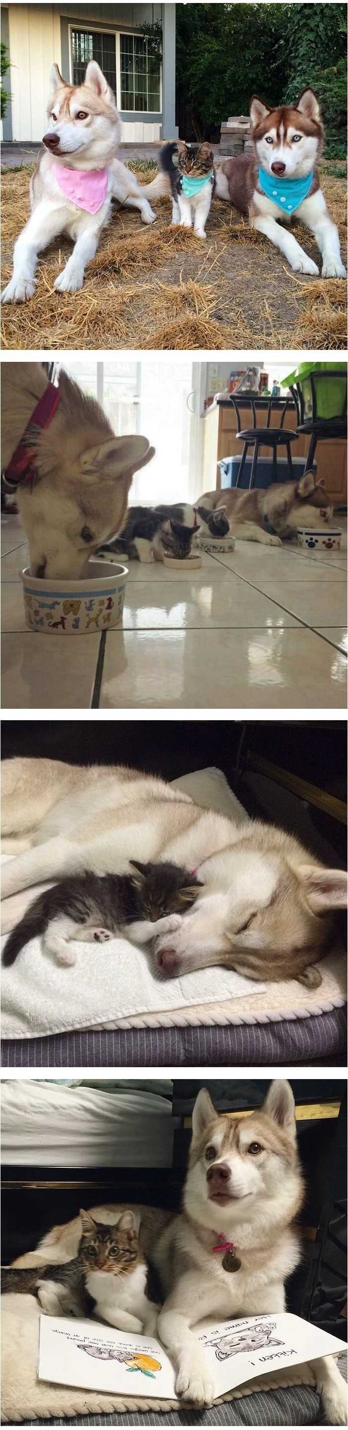무서운 오빠가 셋이나 있는 막내딸 | 인스티즈