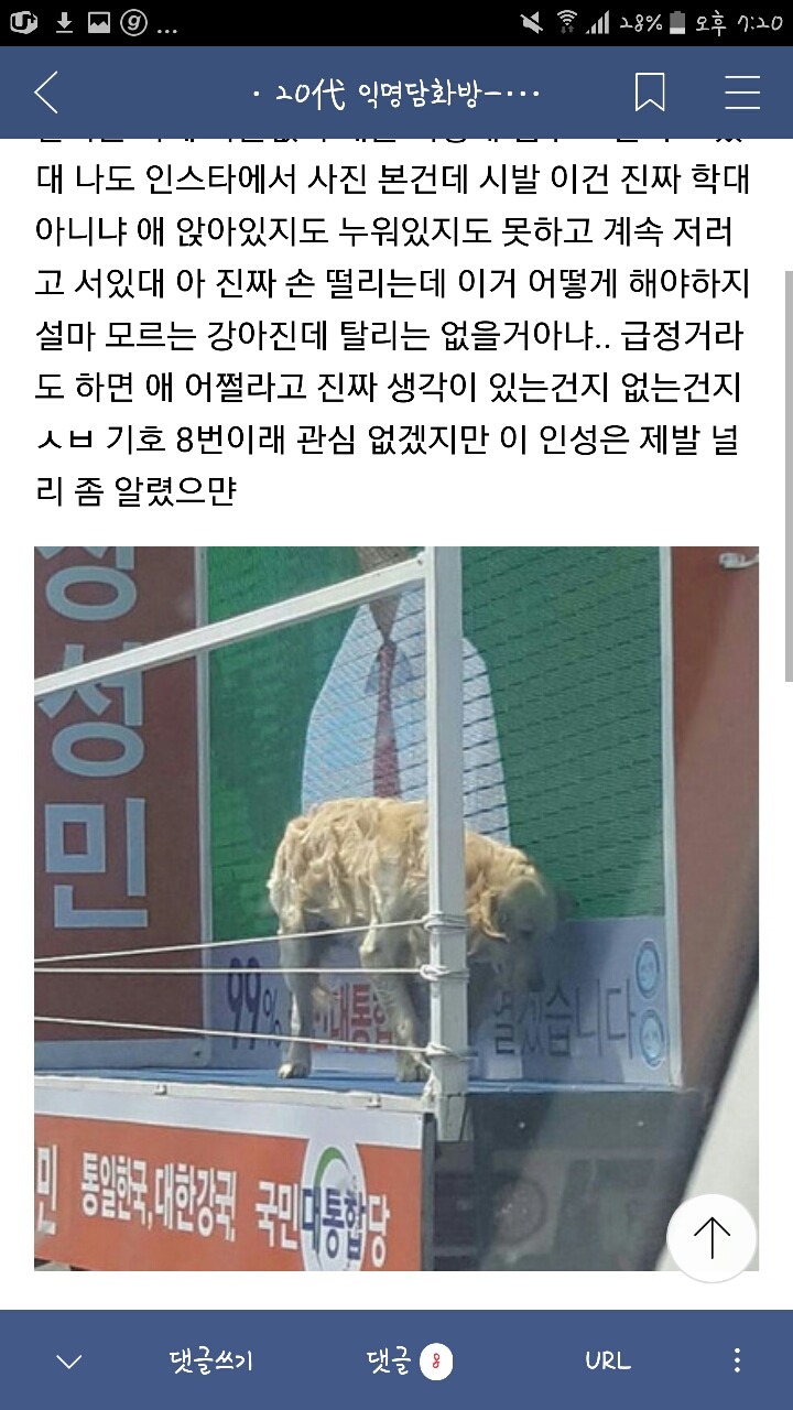 대선후보 기호8번 장성민 리트리버 싣고 선거유세다님 | 인스티즈