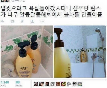 무자비한 솔로의 만행 | 인스티즈