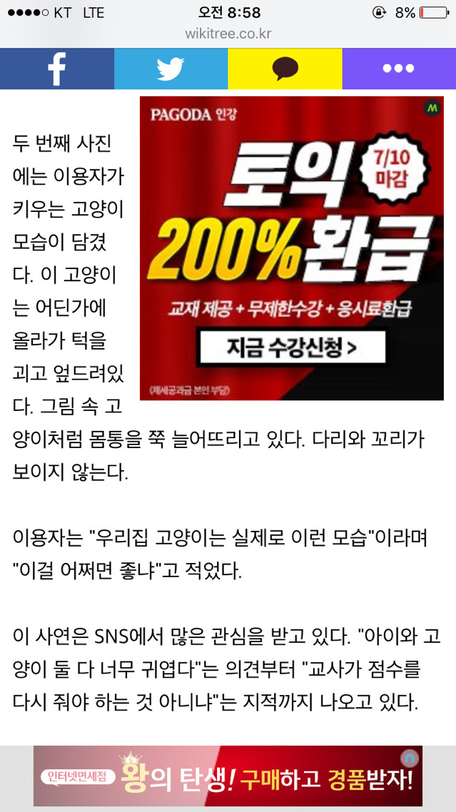 미술 시간에 고양이 그렸다가 0점 받은 초등학생 | 인스티즈
