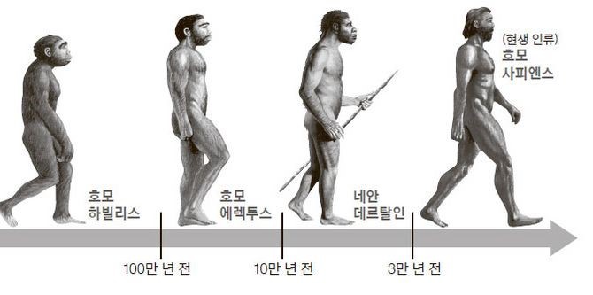 내장지방놈의 역사를 알아보고 죽여버리자 | 인스티즈