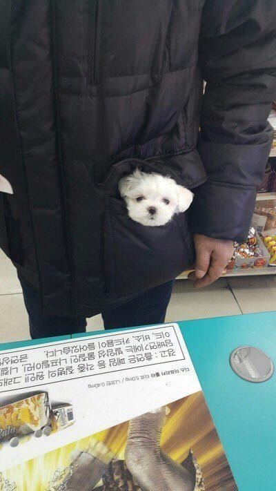편의점 알바하다 귀여워쥬금ㅋㅋㅋㅋ | 인스티즈