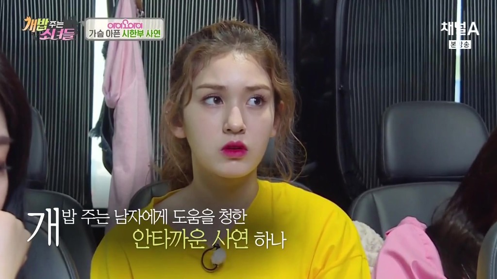 반려견 떠나보내는 암 말기 환자 ㅠㅠㅠ | 인스티즈