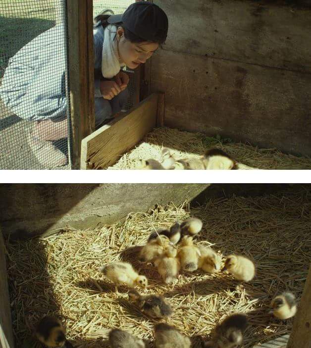 오리를 좋아하는 시골여자 | 인스티즈