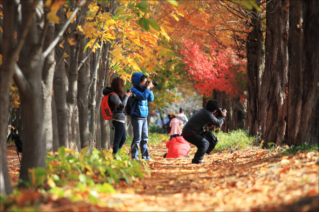 산림원 이미지