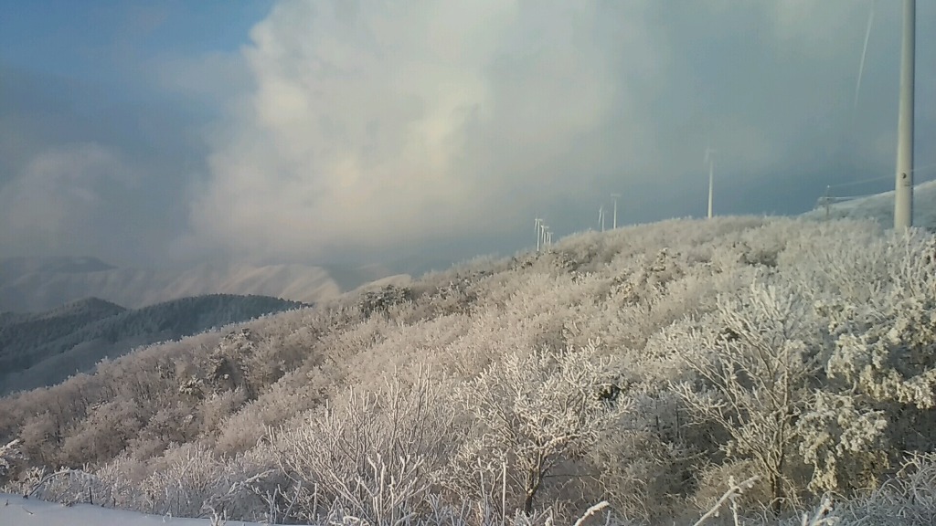 2017년 첫 눈 쌓인 산.jpg | 인스티즈