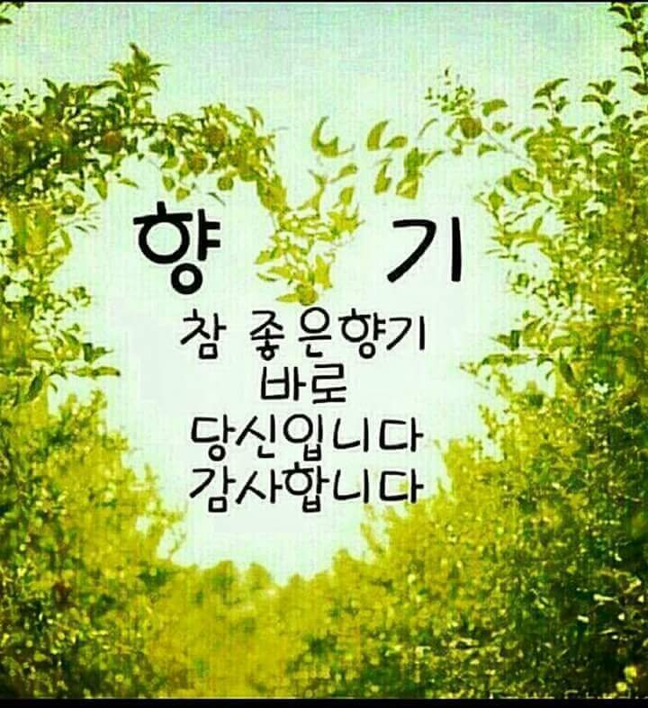 시월십오일 이미지