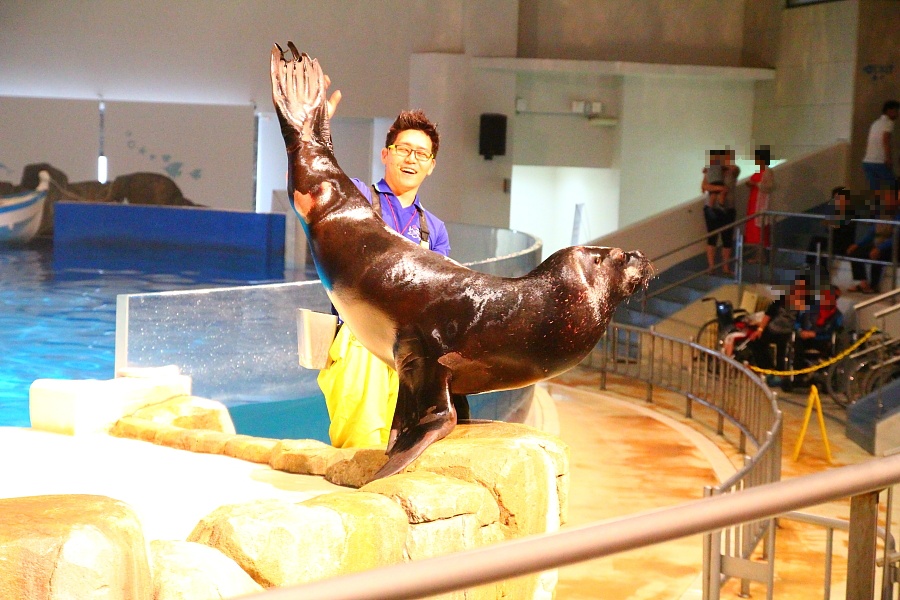 일출봉 이미지