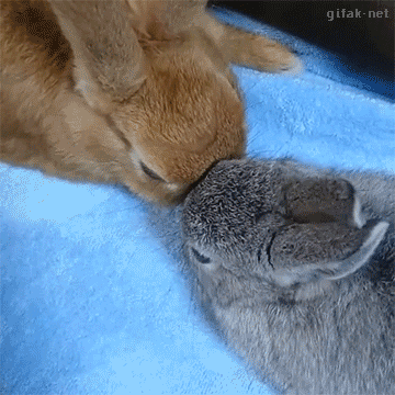 나도 같이 할래.gif | 인스티즈