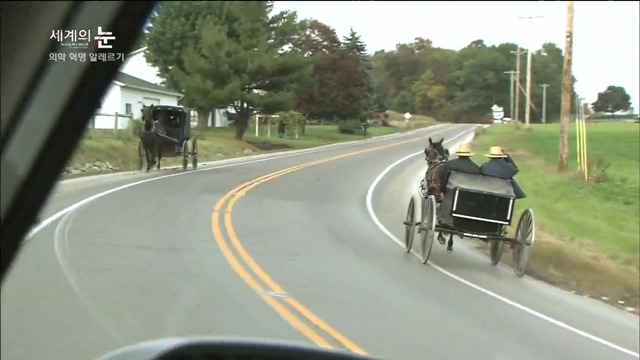 다큐 세계의 눈 - 의학 혁명 알레르기 | 인스티즈