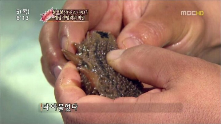 해삼의 미스테리.jpg | 인스티즈