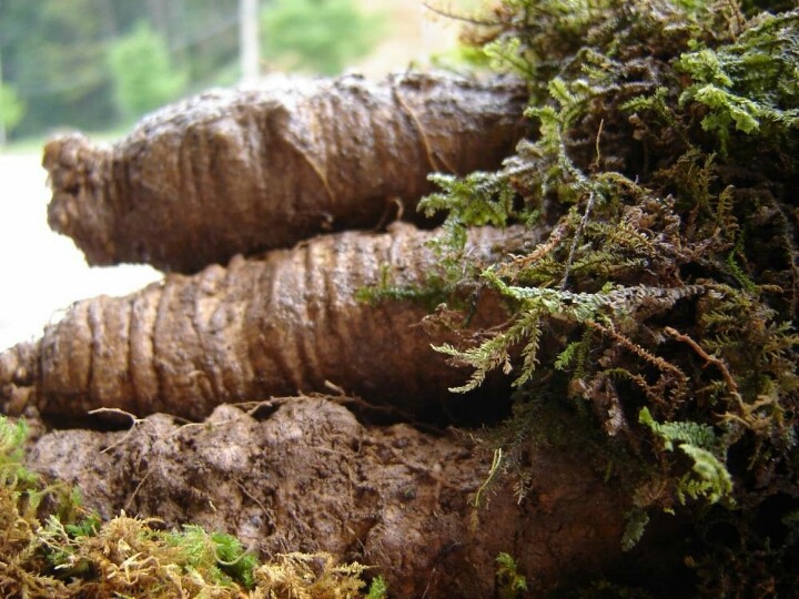 군대 행정보급관들이 가장 좋아하는 것 | 인스티즈
