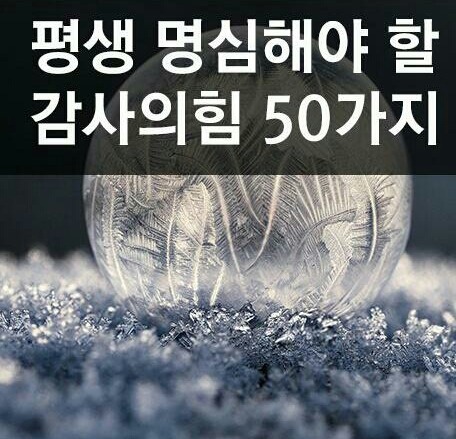 감사의 힘 이미지