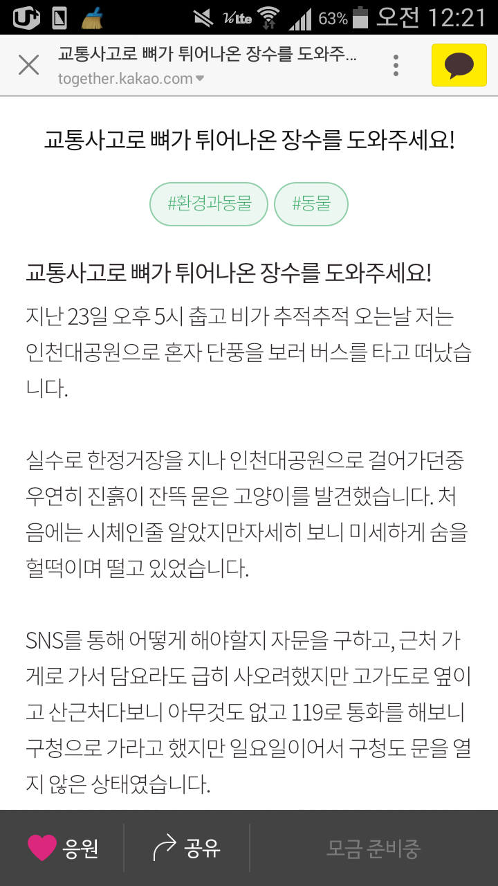 교통사고로 뼈가 튀어나온 길고양이 장수를 도와주세요! | 인스티즈