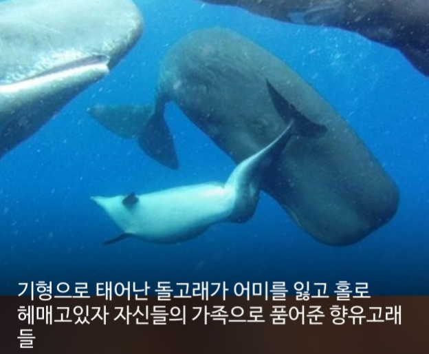 우리가 몰랐단 16가지 | 인스티즈