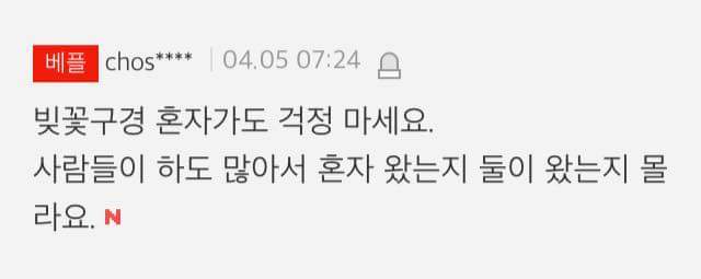 벚꽃구경 솔로들이가도 되는 이유 | 인스티즈
