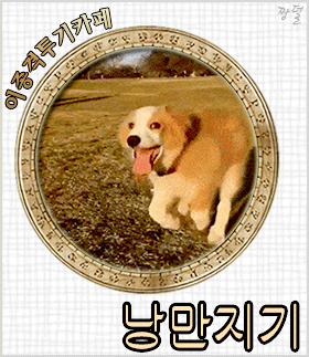 KBS 정치부 | 인스티즈