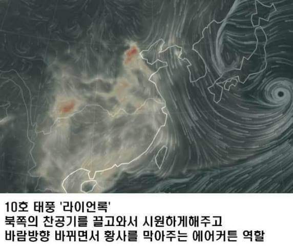 날씨가 시원했던 이유.... 아냐.. 아니라고 해줘 | 인스티즈