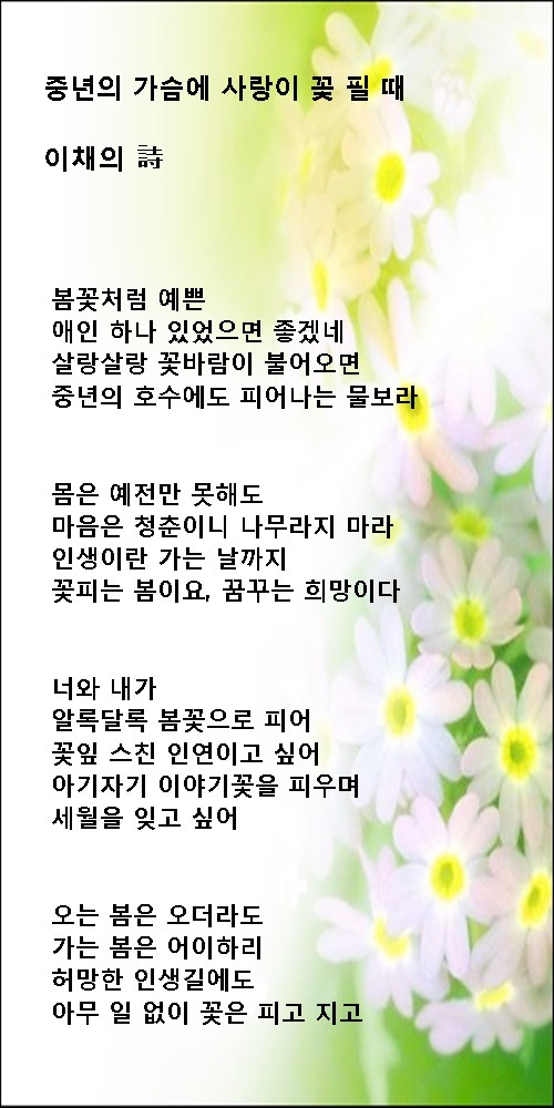 이채3 이미지
