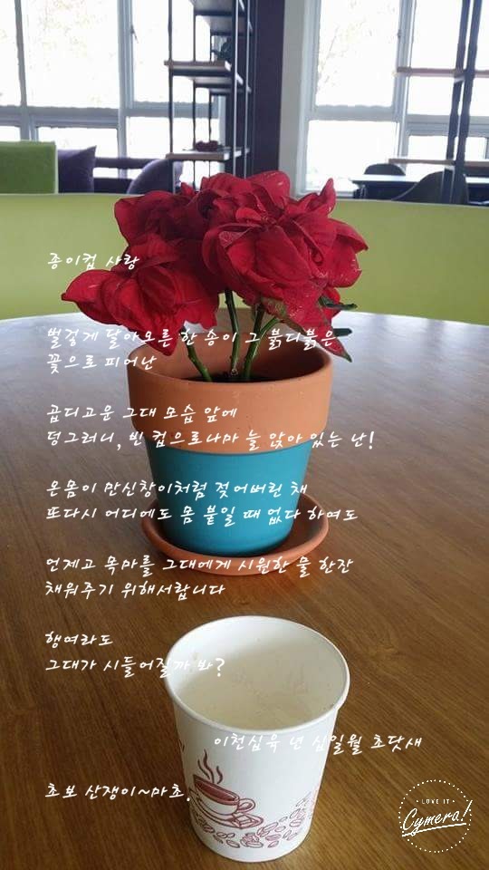 종이사랑 이미지