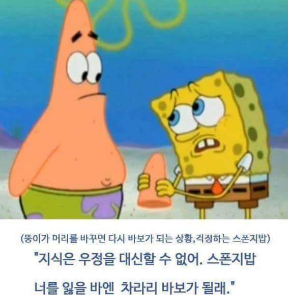 뚱이 이미지