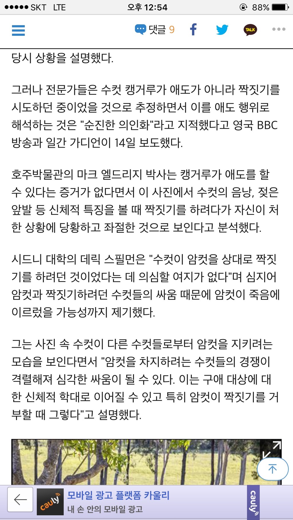 전문가는 너무해 ㅜㅛㅜ | 인스티즈