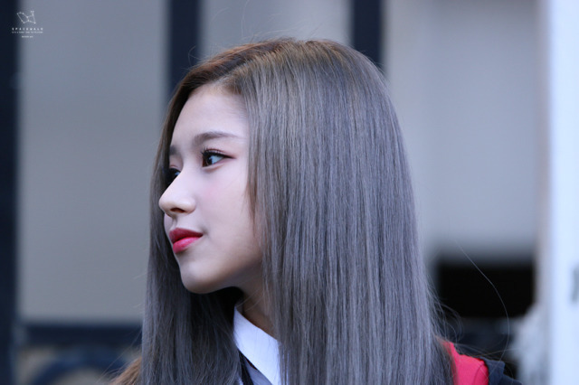 혼혈 느낌 나는 트와이스 사나의 콧대ㄷㄷ | 인스티즈