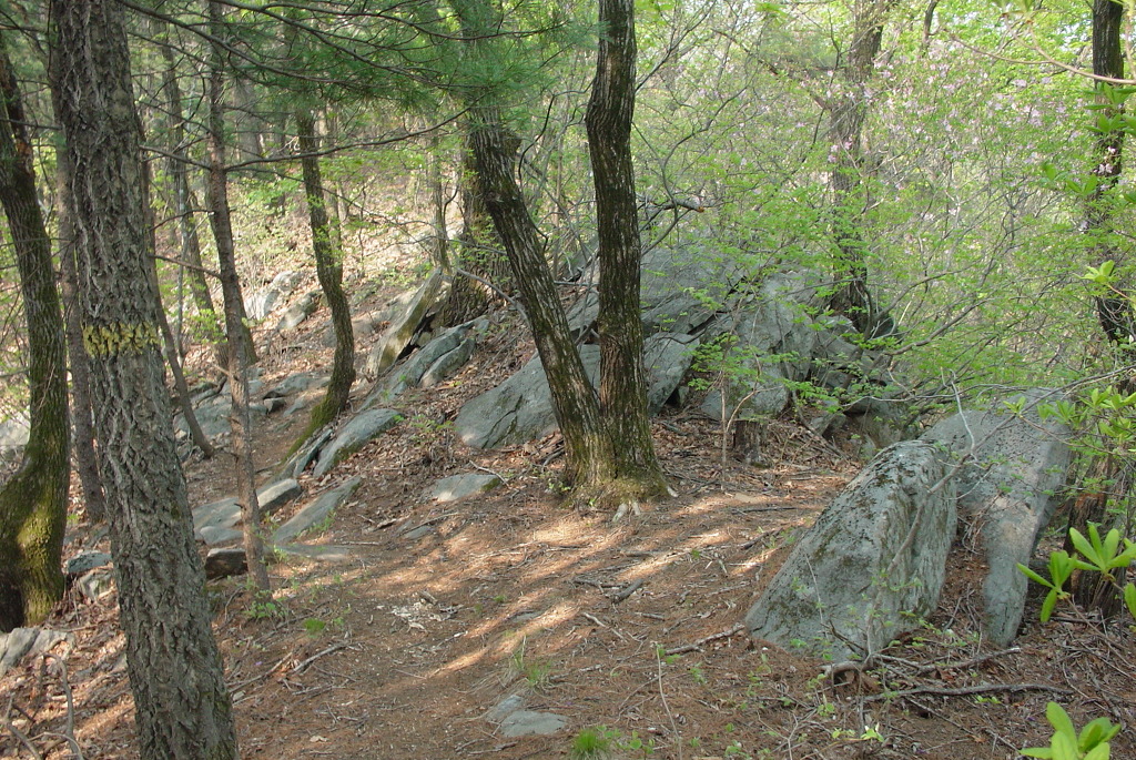 삼성봉(440m) 이미지