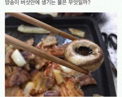 양송이 버섯안에 생기는 물은 무엇일까 | 인스티즈