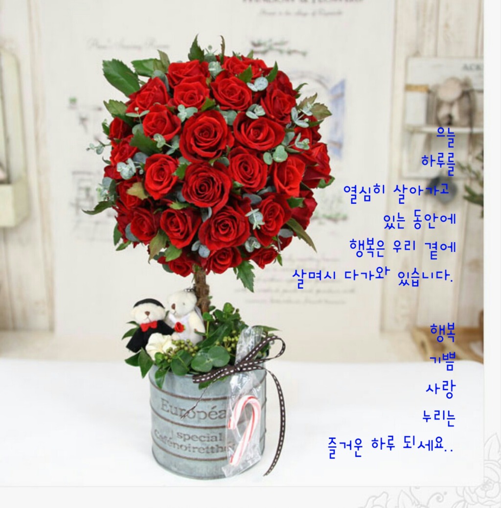 루비아 이미지