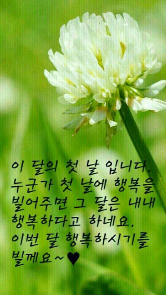 하이볼링 이미지