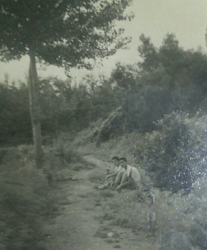 승원네 이미지