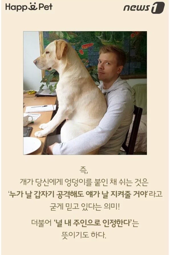 개가 엉덩이를 주인에게 들이미는 이유.jpg | 인스티즈