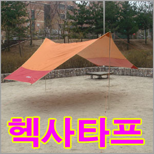 타프 이미지