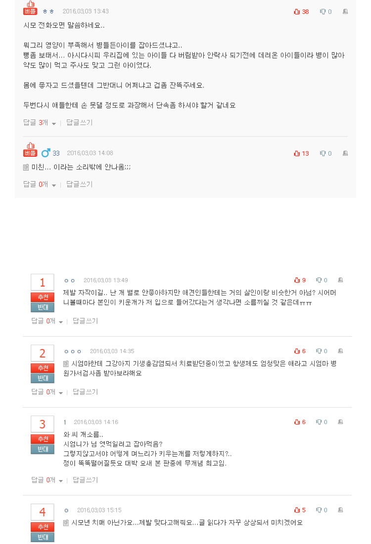 내가 키우던 강아지를 먹은 시엄마 | 인스티즈