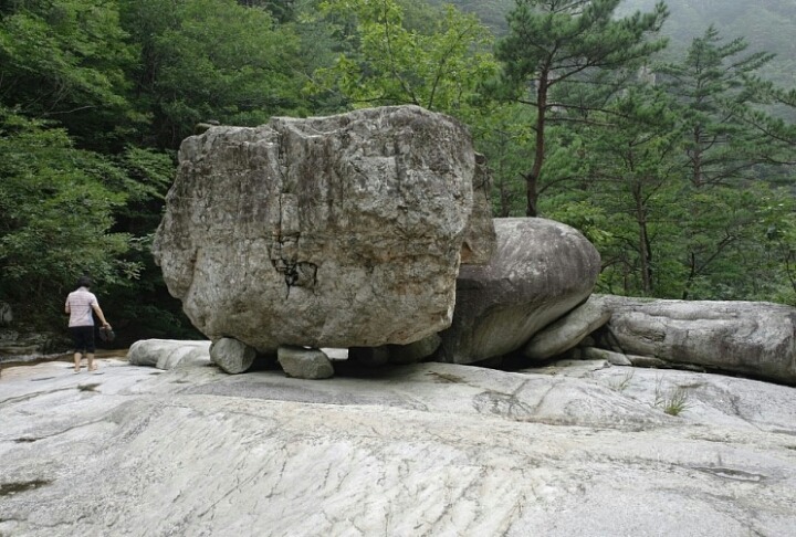 하조대농업협동조합 이미지