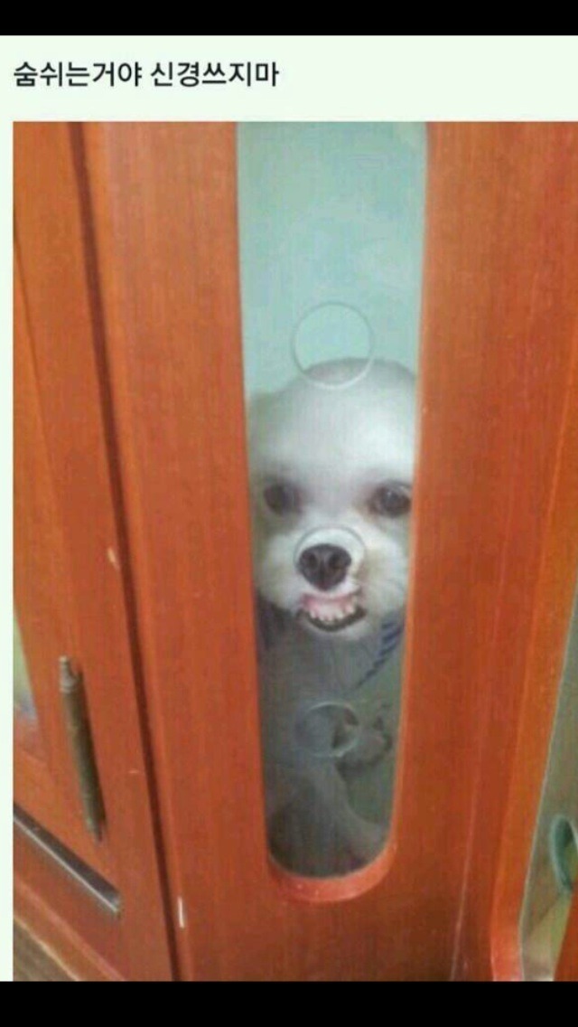 그르릉 이미지