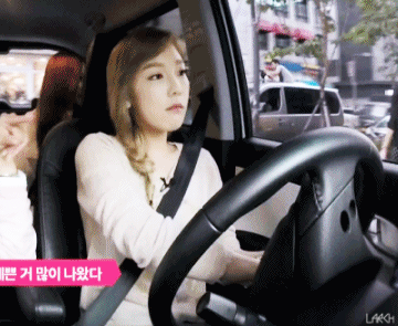 운전하는 탱구.gif | 인스티즈