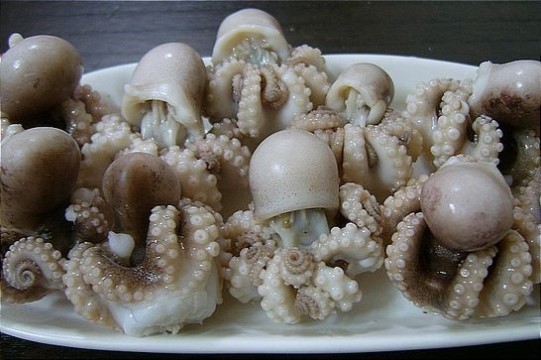 님들이 확실히 몰랐을 표준어 3개 가져와봄 | 인스티즈