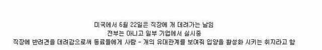 미국의 직장인이 반려견을 직장에 데려가는날 | 인스티즈