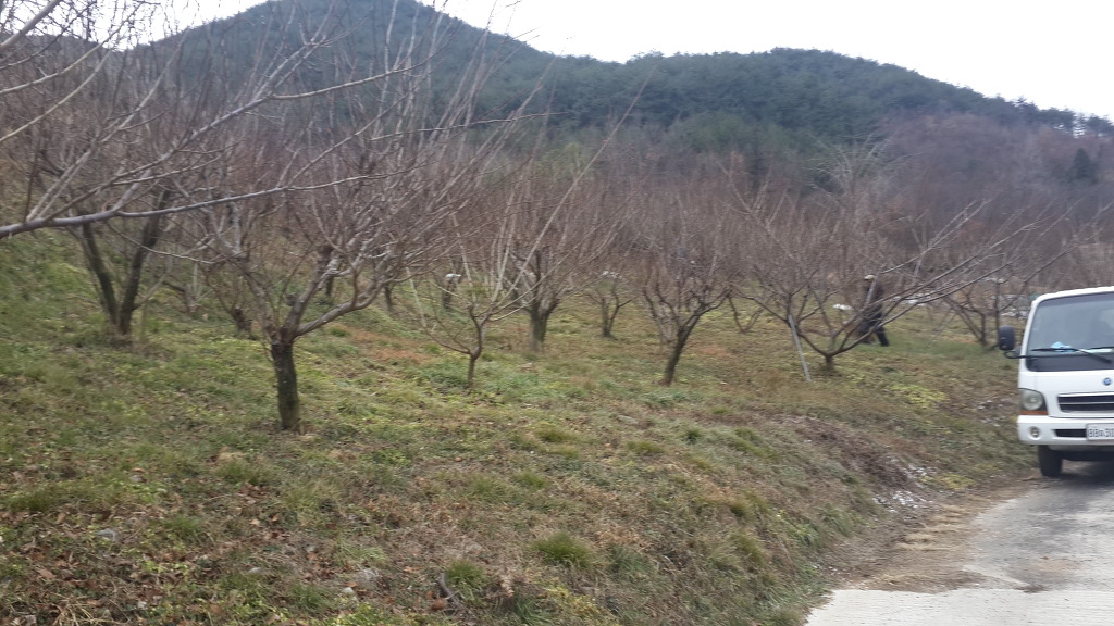 하동산초농장 이미지