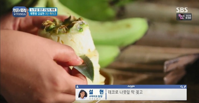 정글에서 생일을 맞은 찬성을 위해 설현이 만든 파인애플 3단케이크.jpg | 인스티즈